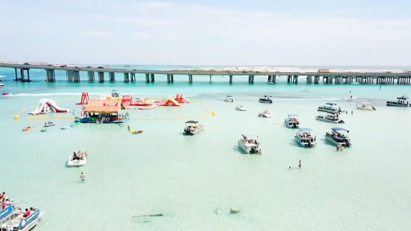 pink pontoons crab island rentals